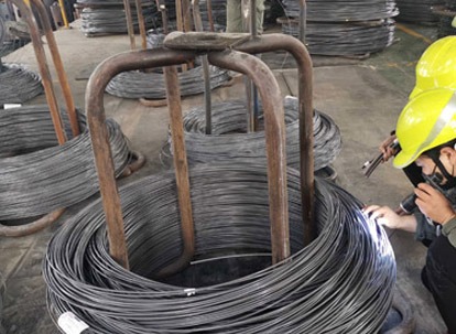 Detección de apariencia en el sitio